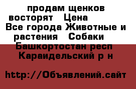 продам щенков восторят › Цена ­ 7 000 - Все города Животные и растения » Собаки   . Башкортостан респ.,Караидельский р-н